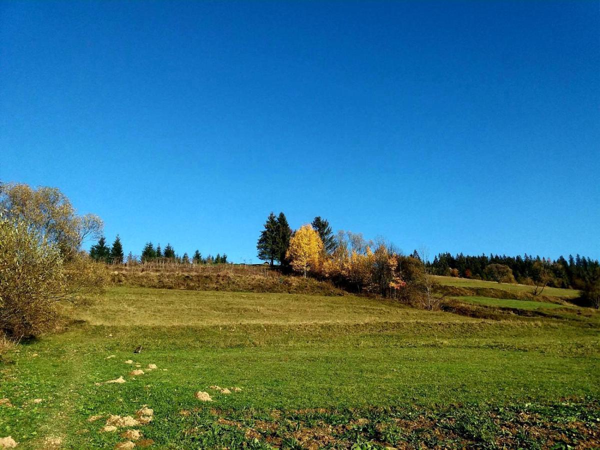 Hotel Gostynna Rodyna Izki Zewnętrze zdjęcie