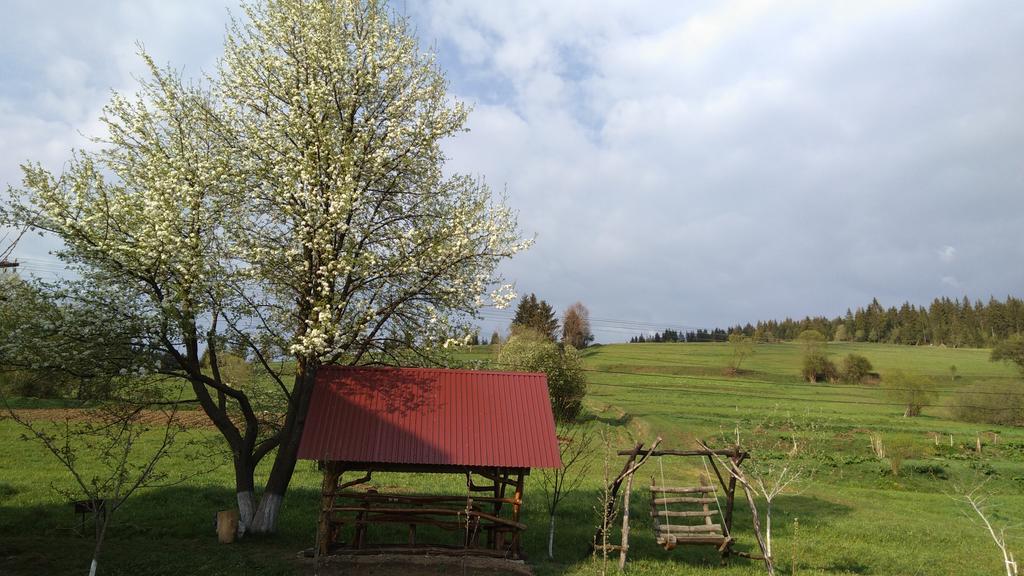 Hotel Gostynna Rodyna Izki Zewnętrze zdjęcie