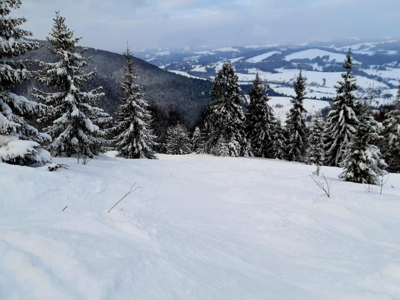 Hotel Gostynna Rodyna Izki Zewnętrze zdjęcie