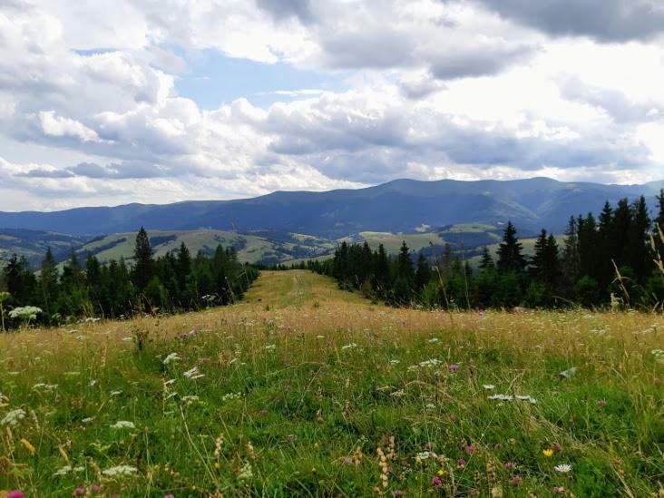 Hotel Gostynna Rodyna Izki Zewnętrze zdjęcie